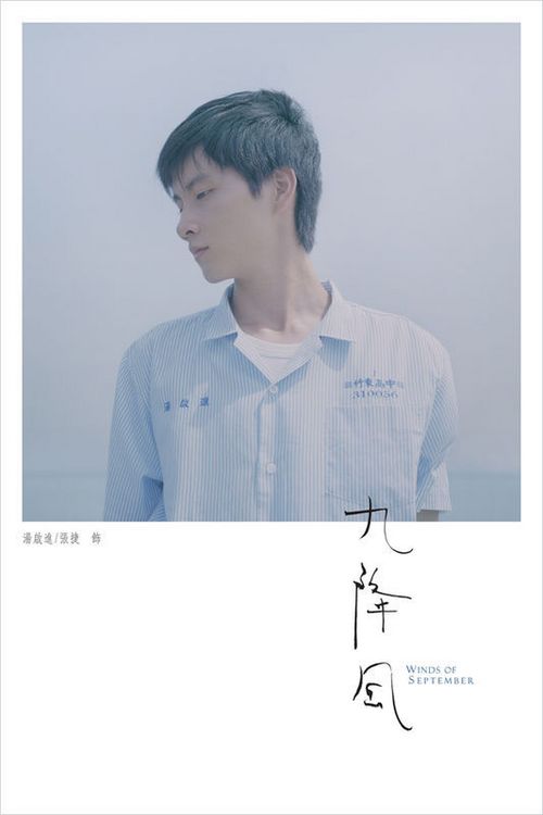博伊西怎么办假证